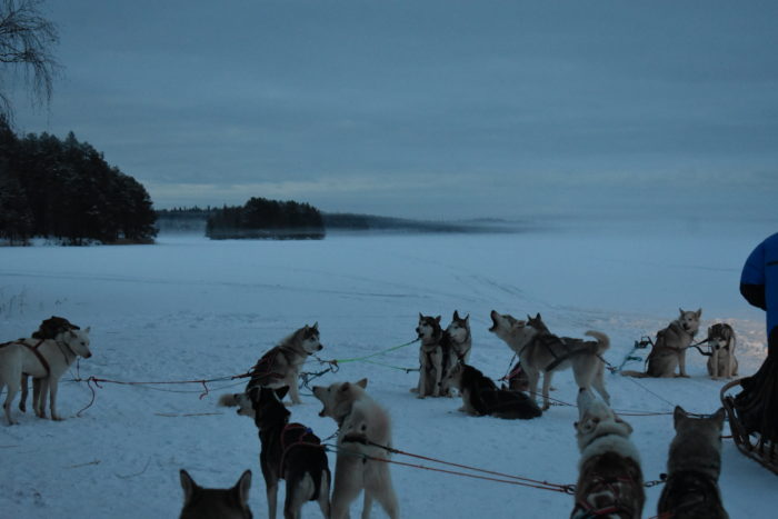 Travel Tuesday with Taylor to Lapland, Finland (Part 2) 2