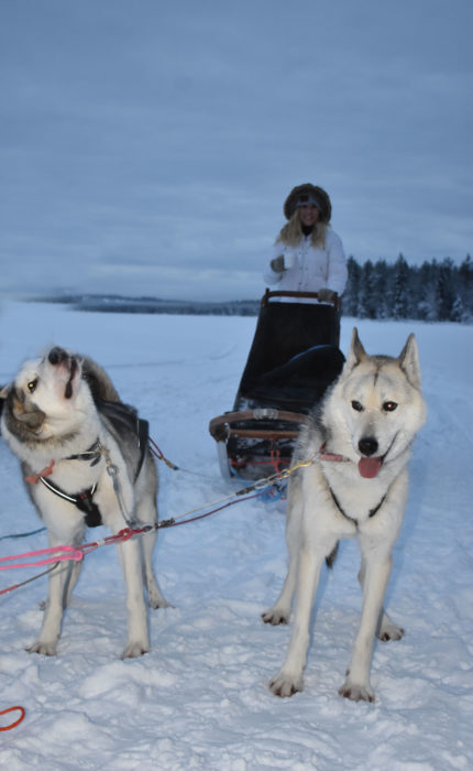 Travel Tuesday with Taylor to Lapland, Finland (Part 2) 1