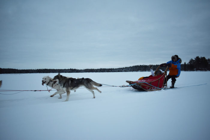 Travel Tuesday with Taylor to Lapland, Finland (Part 2) 7