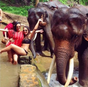 Patara Elephant Farm Thailand (9)