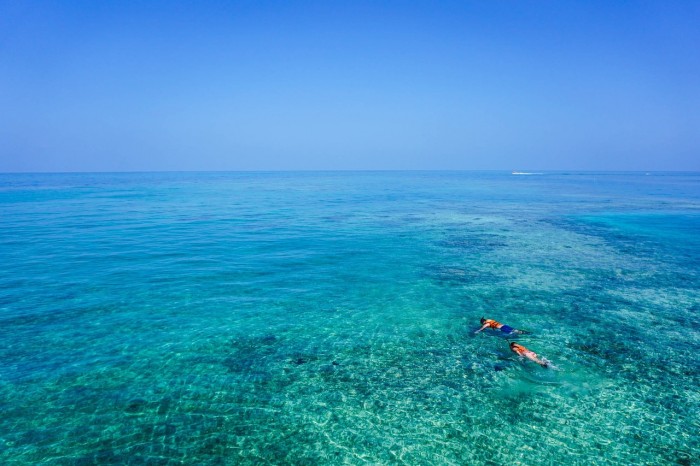 Private Snorkeling Adventure