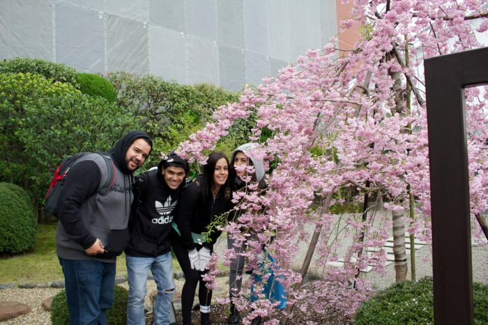 Osakasayama Shi Osaka Japan Cherry blossoms