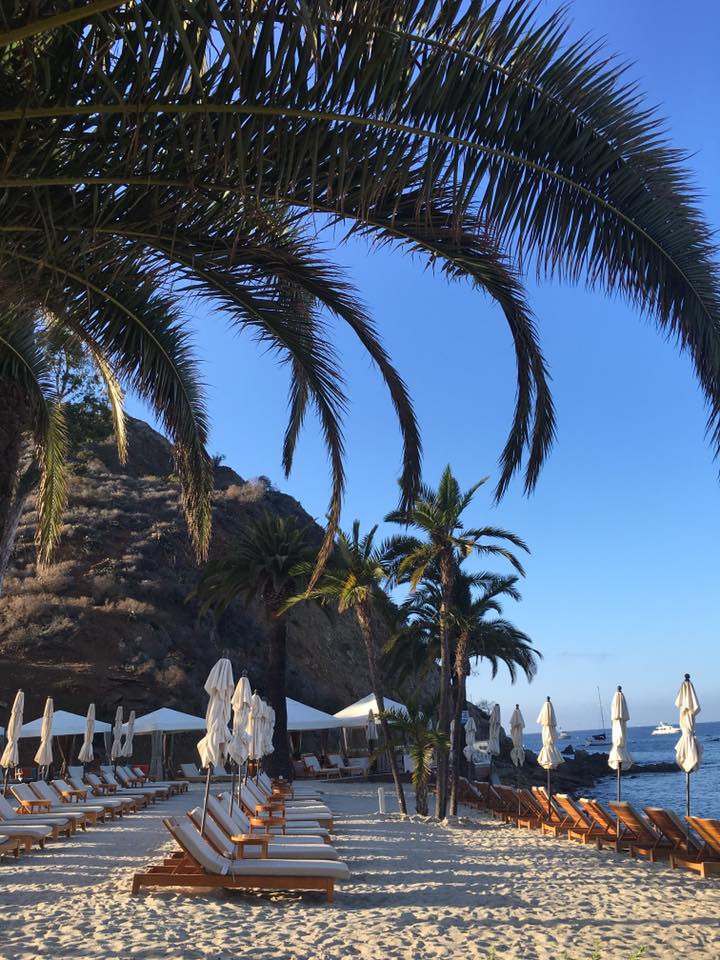 Travel Tuesday with Taylor to Southern California 13 Lovers Cove on Catalina Island