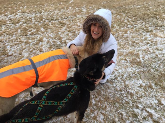 Travel Tuesday with Taylor to Iceland 6 Holmasel Dog Sledding