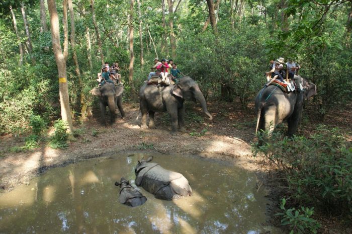 Elephant Ride in Nepal
