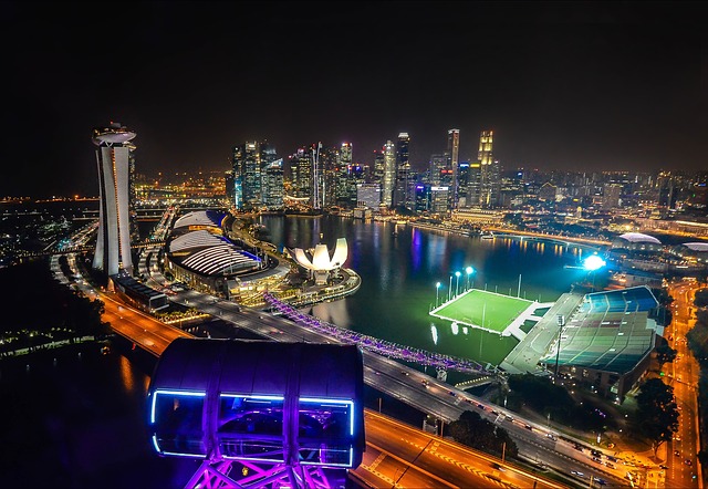 Night view from the Singapore Flyer