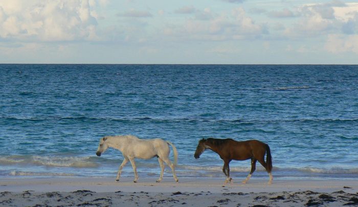Travel Tuesday with Taylor to Ocean City, Maryland 4 Travel Tuesday with Taylor to Ocean City, Maryland 4