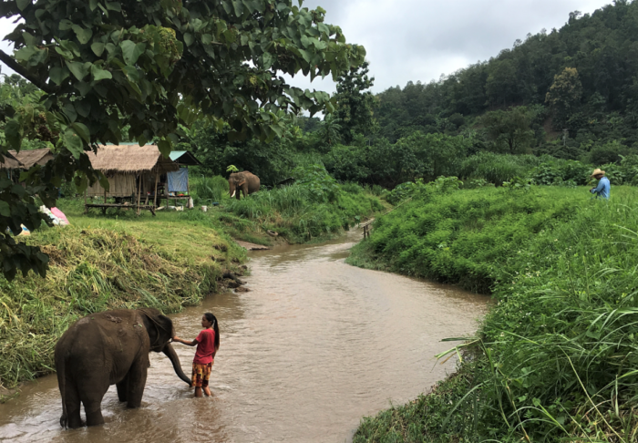 Travel Tuesday with Taylor to Chiang Mai, Thailand 13