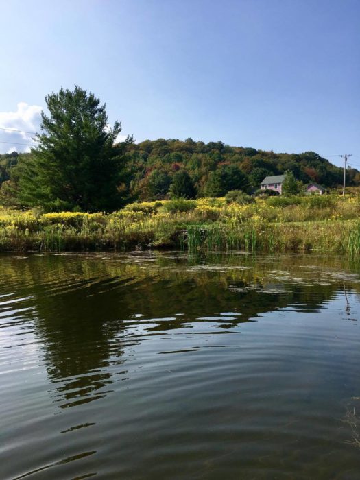 Travel Tuesdays with Taylor to a Yoga Wine Retreat in the NY Catskills 5 Travel Tuesdays with Taylor to a Yoga Wine Retreat in the NY Catskills 5
