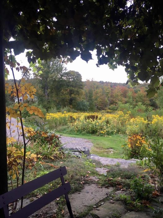 Travel Tuesdays with Taylor to a Yoga Wine Retreat in the NY Catskills 13