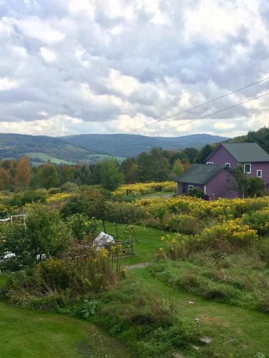 Travel Tuesdays with Taylor to a Yoga Wine Retreat in the NY Catskills 4