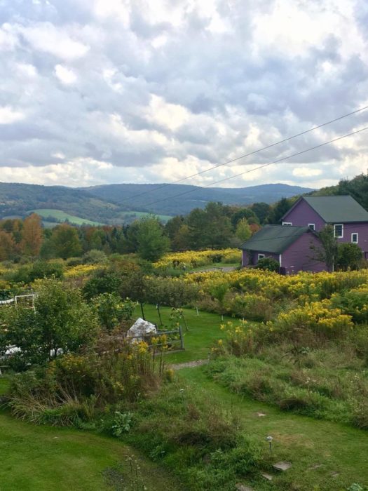 Travel Tuesdays with Taylor to a Yoga Wine Retreat in the NY Catskills 4 Travel Tuesdays with Taylor to a Yoga Wine Retreat in the NY Catskills 4