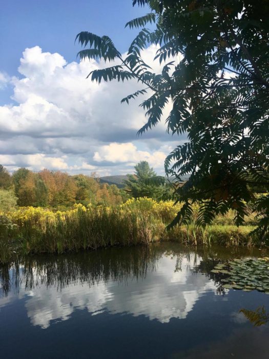 Travel Tuesdays with Taylor to a Yoga Wine Retreat in the NY Catskills 12 Travel Tuesdays with Taylor to a Yoga Wine Retreat in the NY Catskills 12