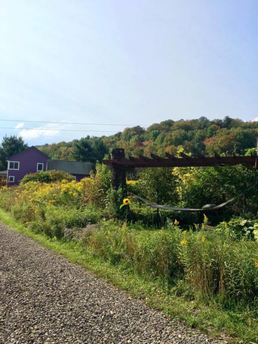 Travel Tuesdays with Taylor to a Yoga Wine Retreat in the NY Catskills 17