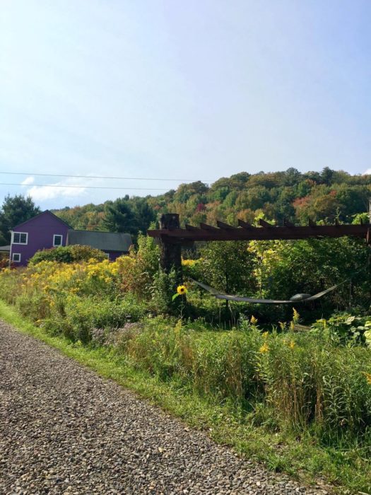 Travel Tuesdays with Taylor to a Yoga Wine Retreat in the NY Catskills 17 Travel Tuesdays with Taylor to a Yoga Wine Retreat in the NY Catskills 17