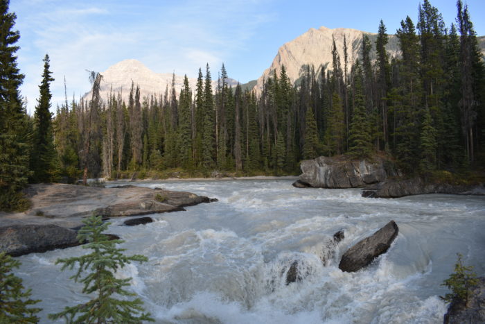 Travel Tuesday with Taylor to Yoho National Park and Lake Louise, Canada 4
