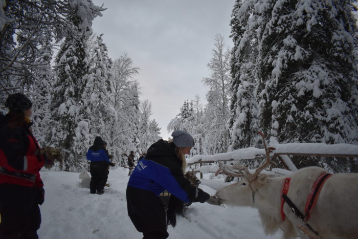 Travel Tuesday with Taylor to Lapland, Finland (Part 1) 19