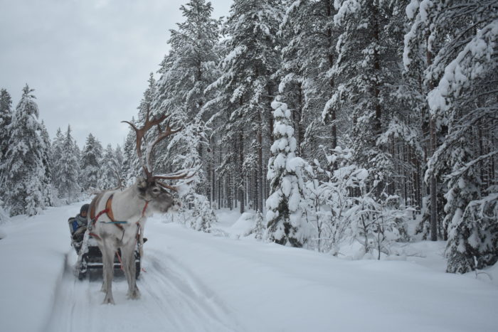 Travel Tuesday with Taylor to Lapland, Finland (Part 1) 21
