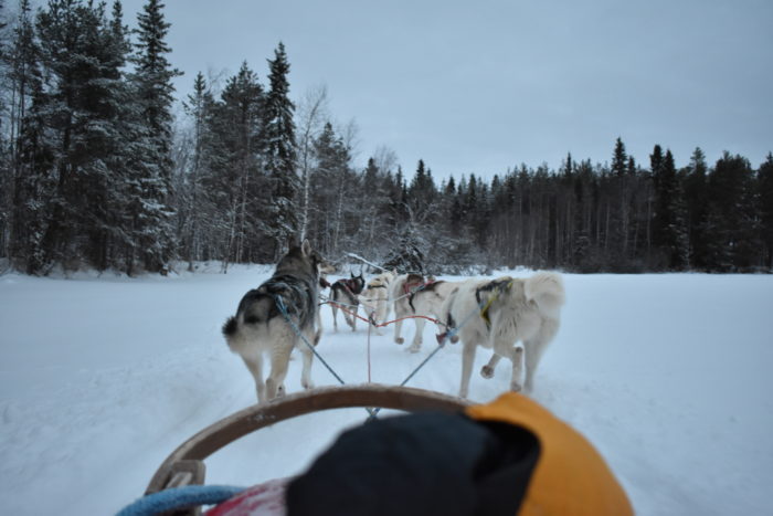 Travel Tuesday with Taylor to Lapland, Finland (Part 2) 8
