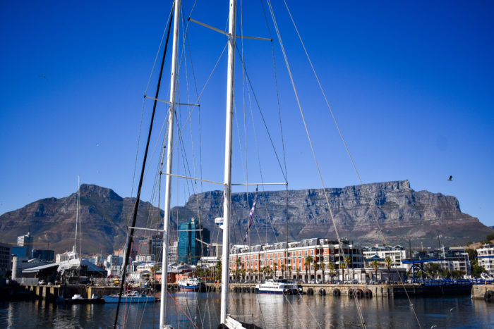 Travels with Taylor to Cape Town, South Africa (Part 2) 16