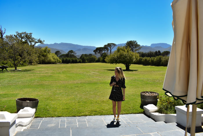 Travels with Taylor to Cape Town, South Africa (Part 2) 10