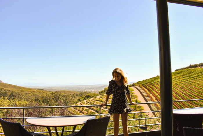 Travels with Taylor to Cape Town, South Africa (Part 2) 6