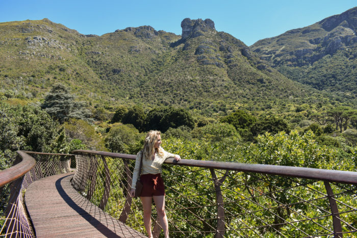 Travels with Taylor to Cape Town, South Africa (Part 2) 25