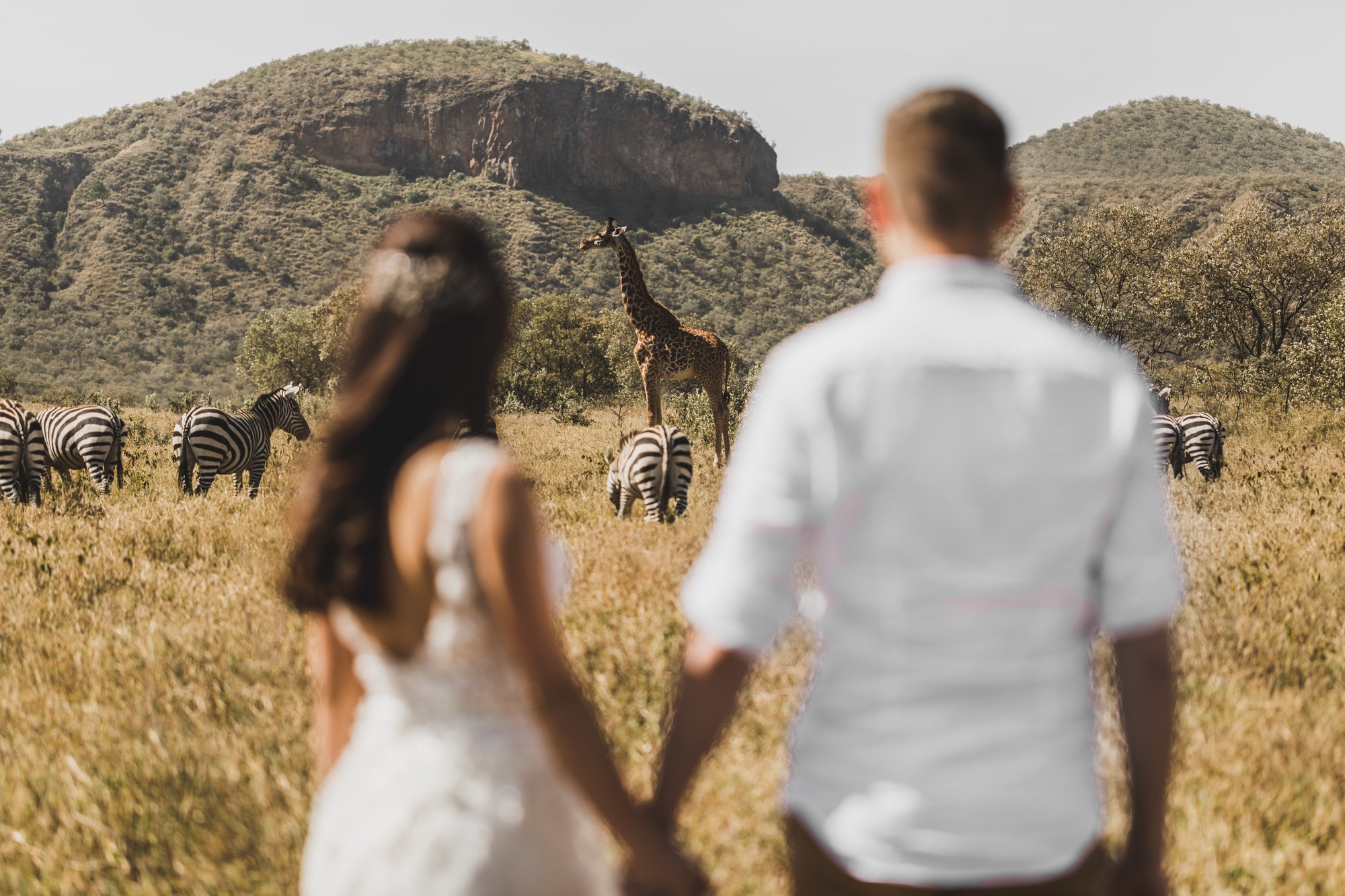 Africa Travel - Private Luxury Tours and Packages 3