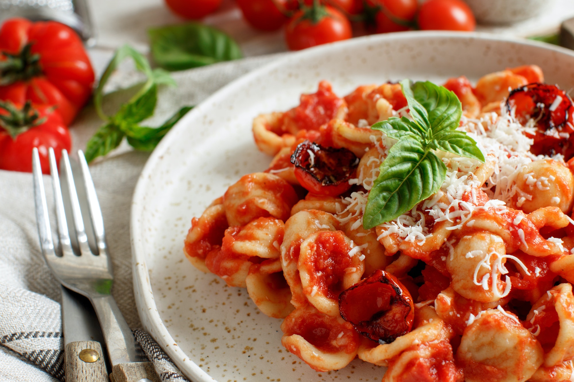 South italian pasta orecchiette with tomato sauce and cacioricotta cheese